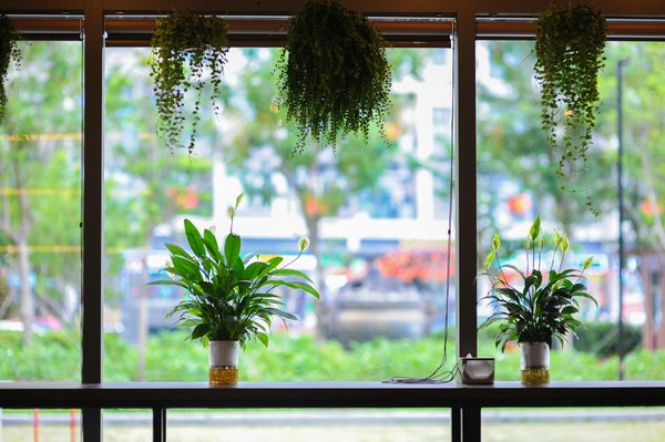 L'agence de design par abonnement qui transforme vos idées