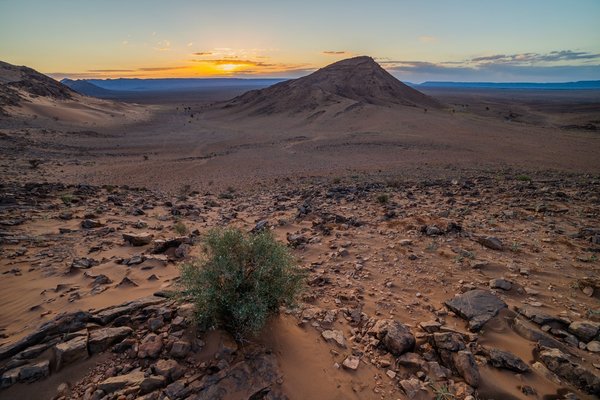 S'évader dans les déserts du monde